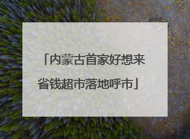 内蒙古首家好想来省钱超市落地呼市