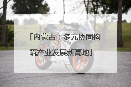 内蒙古：多元协同构筑产业发展新高地