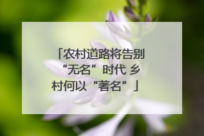 农村道路将告别“无名”时代 乡村何以“著名”