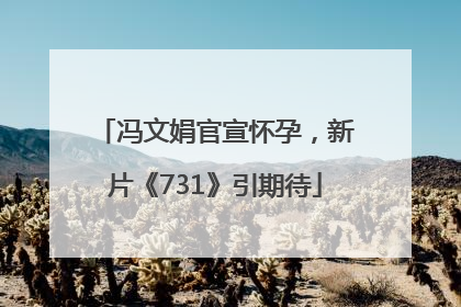 冯文娟官宣怀孕，新片《731》引期待