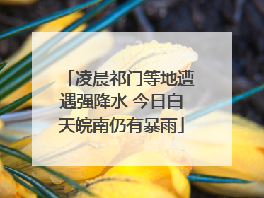 凌晨祁门等地遭遇强降水 今日白天皖南仍有暴雨