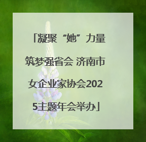 凝聚“她”力量 筑梦强省会 济南市女企业家协会2025主题年会举办