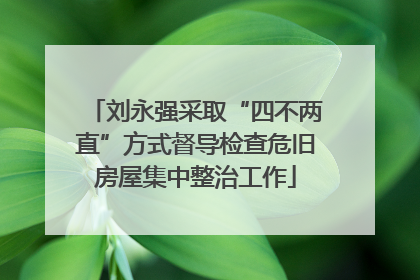 刘永强采取“四不两直”方式督导检查危旧房屋集中整治工作