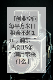 创业空间每平方米日租金不超1元，浦东“青创15条”满月带来什么
