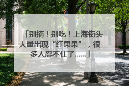 别摘！别吃！上海街头大量出现“红果果”，很多人忍不住了……