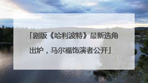 剧版《哈利波特》最新选角出炉，马尔福饰演者公开