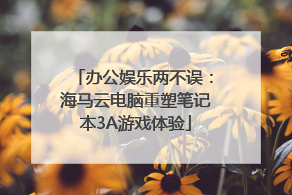 办公娱乐两不误：海马云电脑重塑笔记本3A游戏体验