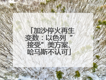 加沙停火再生变数：以色列“接受”美方案、哈马斯不认可