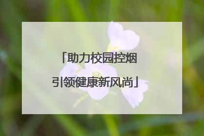 助力校园控烟 引领健康新风尚