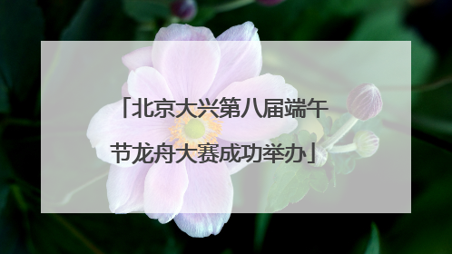 北京大兴第八届端午节龙舟大赛成功举办