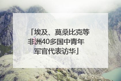 埃及、莫桑比克等非洲40多国中青年军官代表访华