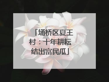 埇桥区夏王村：十年耕耘结出富民瓜