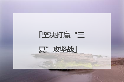 坚决打赢“三夏”攻坚战