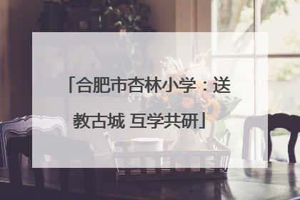 合肥市杏林小学：送教古城 互学共研