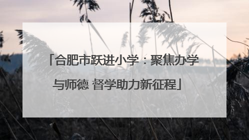 合肥市跃进小学：聚焦办学与师德 督学助力新征程