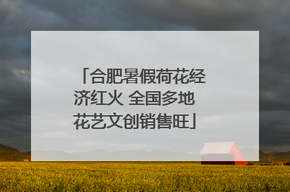 合肥暑假荷花经济红火 全国多地花艺文创销售旺