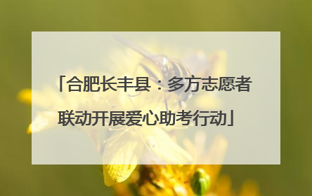 合肥长丰县：多方志愿者联动开展爱心助考行动