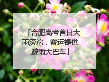 合肥高考首日大雨滂沱，客运提供避雨大巴车