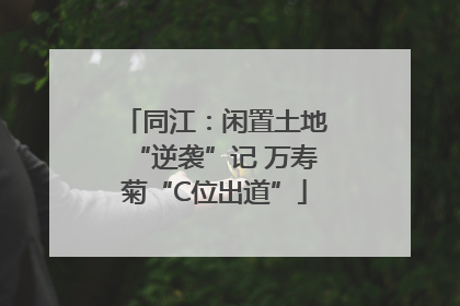 同江：闲置土地“逆袭”记 万寿菊“C位出道”