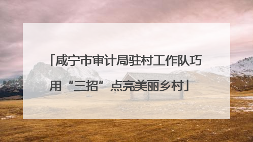 咸宁市审计局驻村工作队巧用“三招”点亮美丽乡村