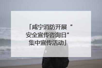 咸宁消防开展“安全宣传咨询日”集中宣传活动