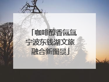 咖啡醇香氤氲宁波东钱湖文旅融合新图景