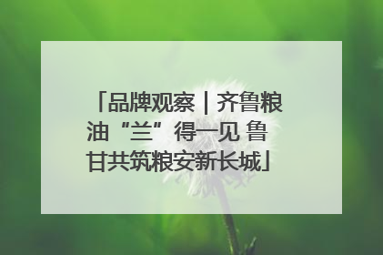 品牌观察｜齐鲁粮油“兰”得一见 鲁甘共筑粮安新长城