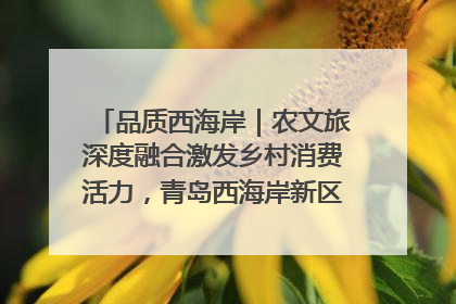 品质西海岸｜农文旅深度融合激发乡村消费活力，青岛西海岸新区的乡村振兴实践