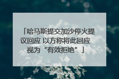 哈马斯提交加沙停火提议回应 以方称将此回应视为“有效拒绝”