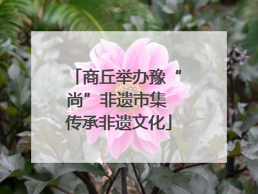 商丘举办豫“尚”非遗市集 传承非遗文化
