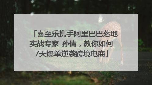 喜至乐携手阿里巴巴落地实战专家-孙倩，教你如何7天爆单逆袭跨境电商