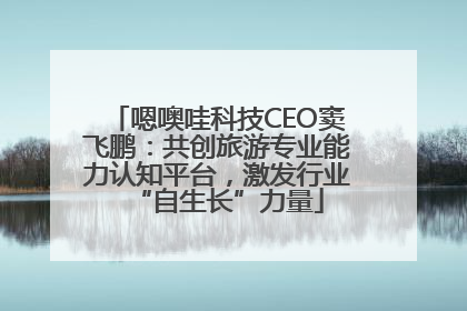 嗯噢哇科技CEO窦飞鹏：共创旅游专业能力认知平台，激发行业“自生长”力量