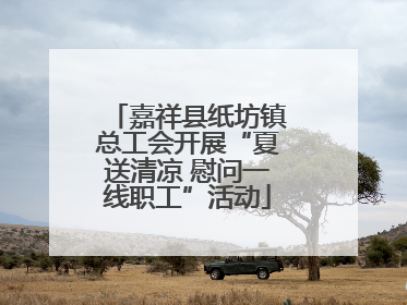 嘉祥县纸坊镇总工会开展“夏送清凉 慰问一线职工”活动