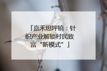 嘉禾坦坪镇：针织产业解锁村民致富“新模式”