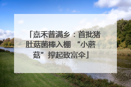 嘉禾普满乡：首批猪肚菇菌棒入棚 “小蘑菇”撑起致富伞