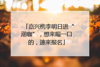 嘉兴槜李明日进“潮咖”，想来嘬一口的，速来报名