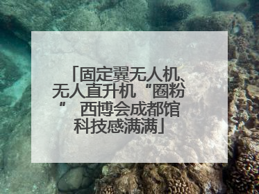 固定翼无人机、无人直升机“圈粉” 西博会成都馆科技感满满