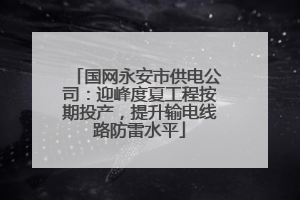 国网永安市供电公司：迎峰度夏工程按期投产，提升输电线路防雷水平