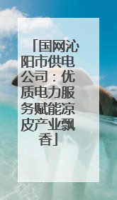 国网沁阳市供电公司：优质电力服务赋能凉皮产业飘香