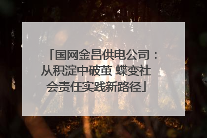 国网金昌供电公司：从积淀中破茧 蝶变社会责任实践新路径