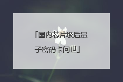 国内芯片级后量子密码卡问世