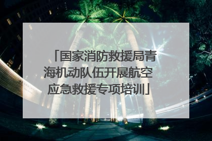 国家消防救援局青海机动队伍开展航空应急救援专项培训
