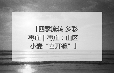 四季流转 多彩枣庄｜枣庄：山区小麦“喜开镰”