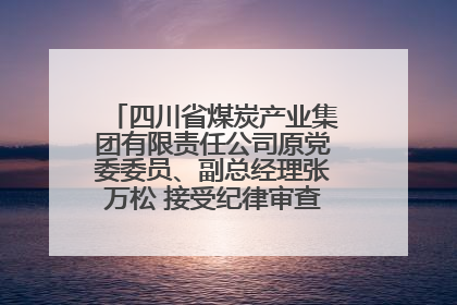 四川省煤炭产业集团有限责任公司原党委委员、副总经理张万松 接受纪律审查和监察调查