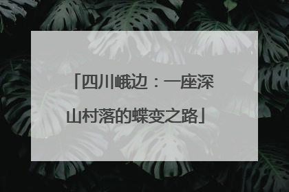 四川峨边：一座深山村落的蝶变之路