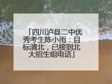 四川泸县二中优秀考生陈小雨：目标清北，已接到北大招生组电话