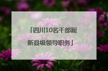 四川10名干部履新县级领导职务