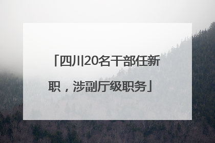 四川20名干部任新职，涉副厅级职务