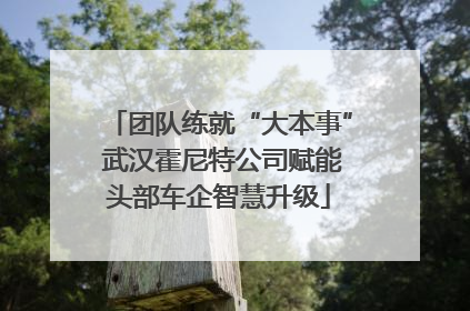 团队练就“大本事” 武汉霍尼特公司赋能头部车企智慧升级
