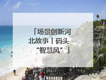 场景创新河北故事丨码头“智慧风”
